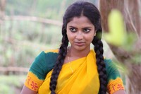 Amala Paul  Latest Photos